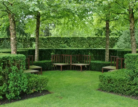 Siepi geometriche in un giardino all’italiana
