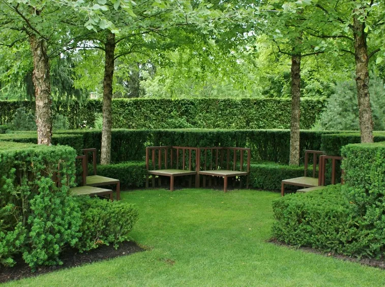 Siepi geometriche in un giardino all’italiana