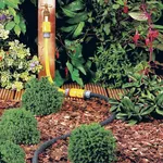 Irrigazione siepe