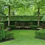 Giardino con siepi sempreverdi