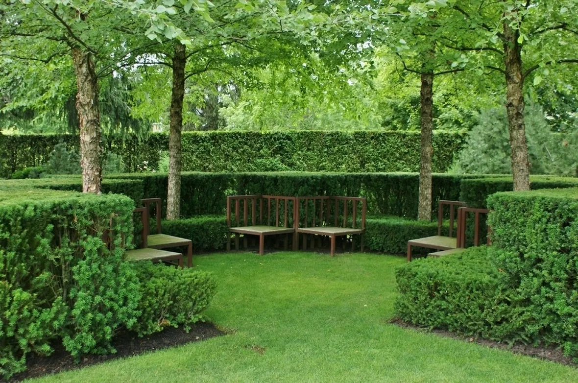 Giardino con siepi sempreverdi