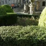 siepigiardino1
