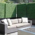 Siepe sul terrazzo