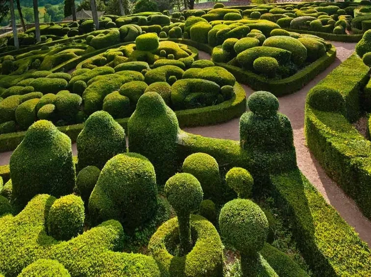 Artistico giardino di bosso
