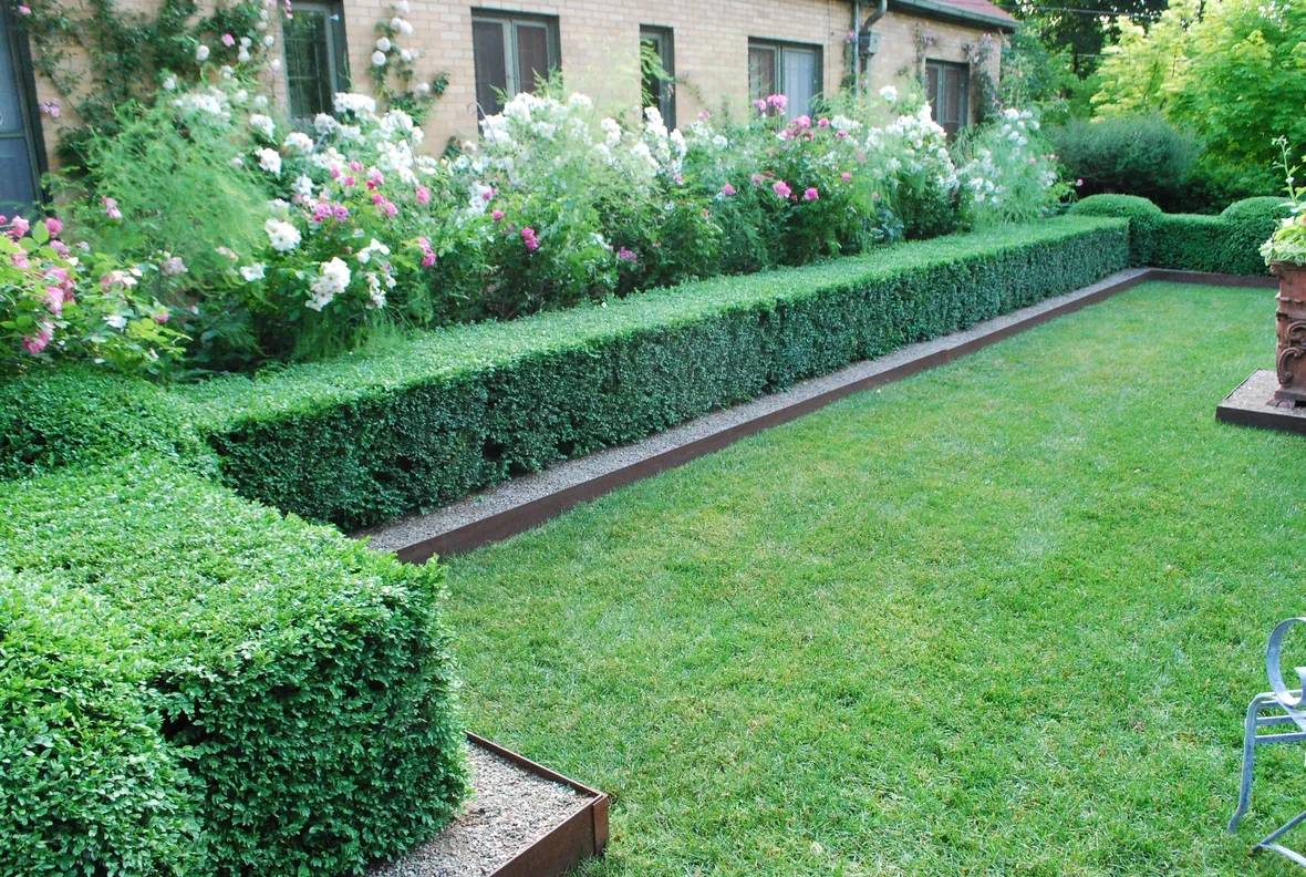 Una classica siepe di bosso