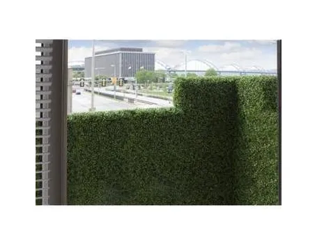 siepiperterrazzi1