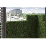 siepiperterrazzi1