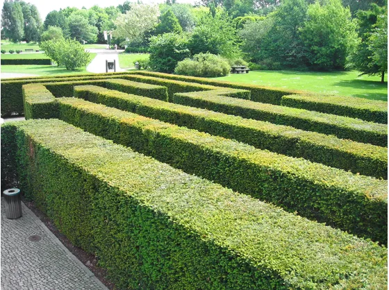 Siepi formali geometriche