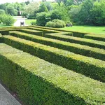 Siepi formali geometriche