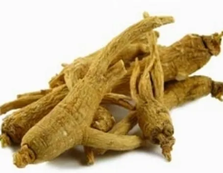 ginseng