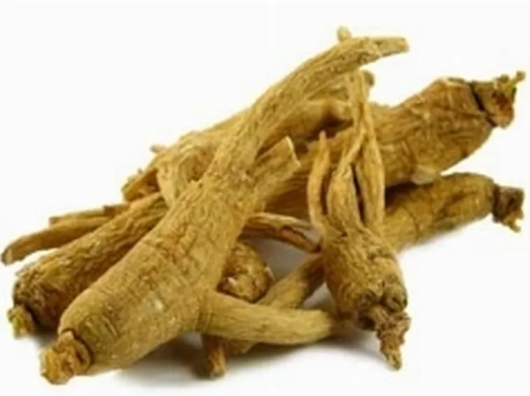 ginseng