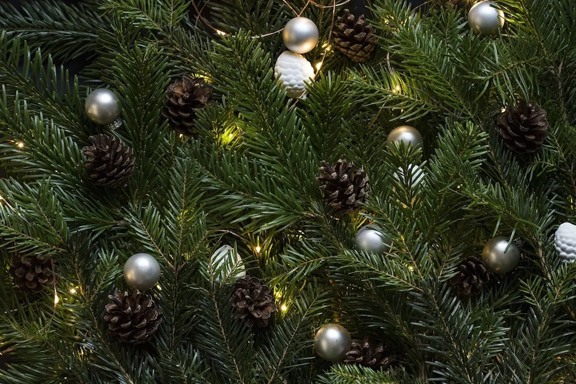 albero di Natale