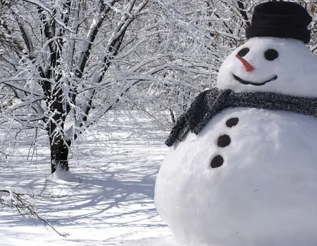 foto di un pupazzo di neve
