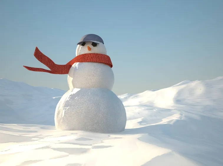foto di un pupazzo di neve