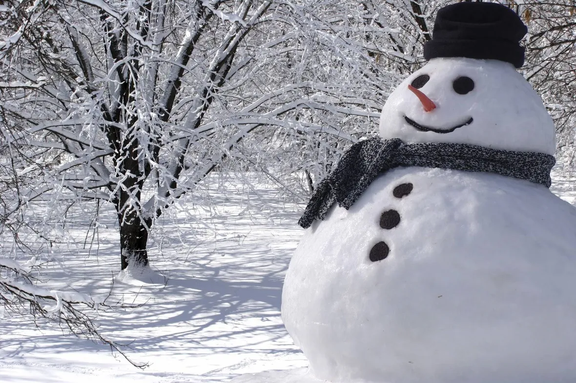 foto di un pupazzo di neve