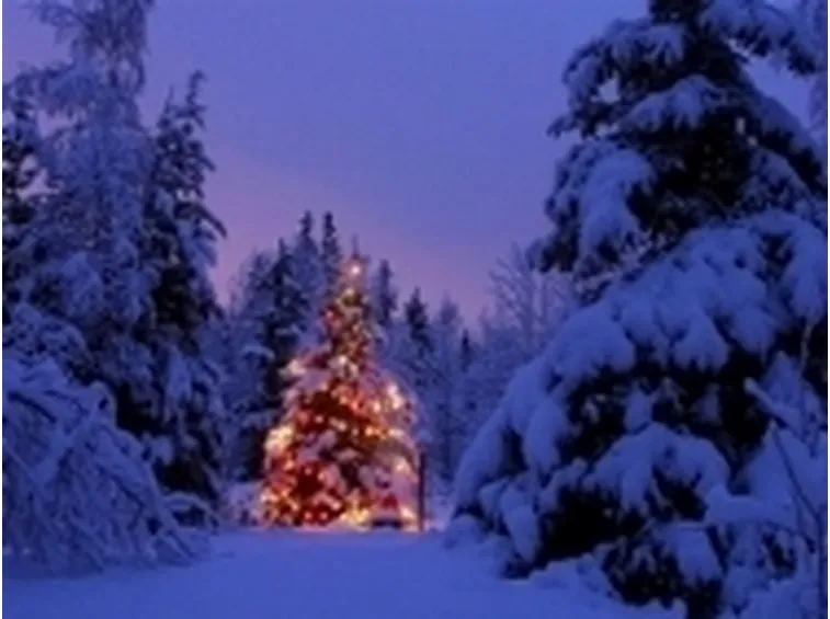 Albero di Natale