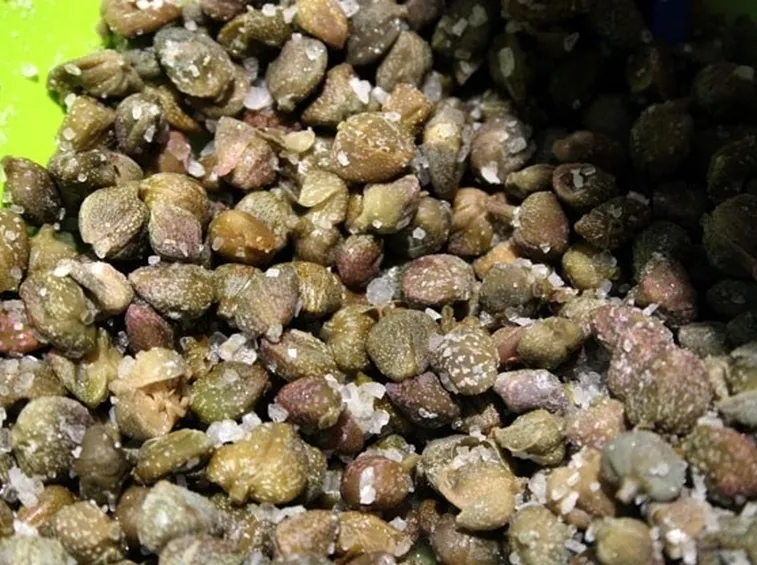 Capperi sotto sale