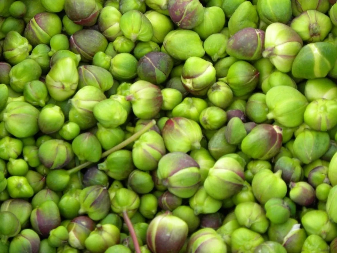 Capperi freschi