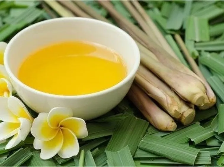 citronella