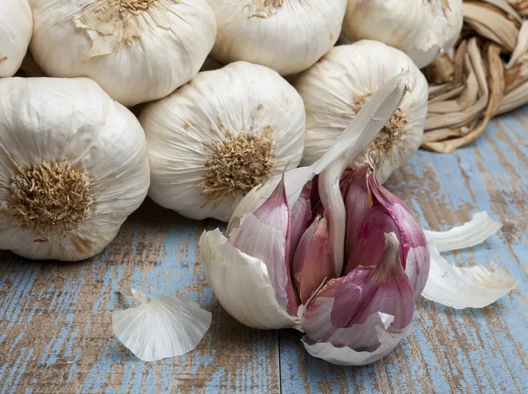 bulbi di aglio su una tavola