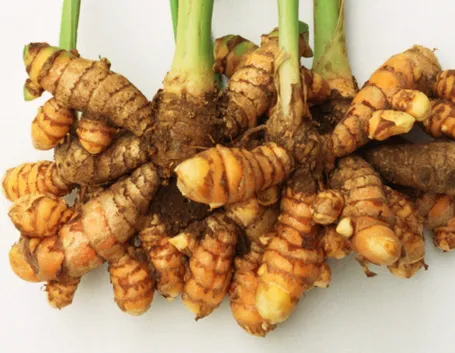 Radici curcuma