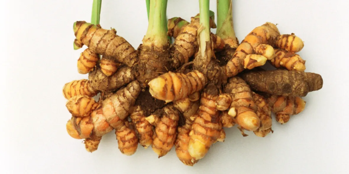 Radici curcuma