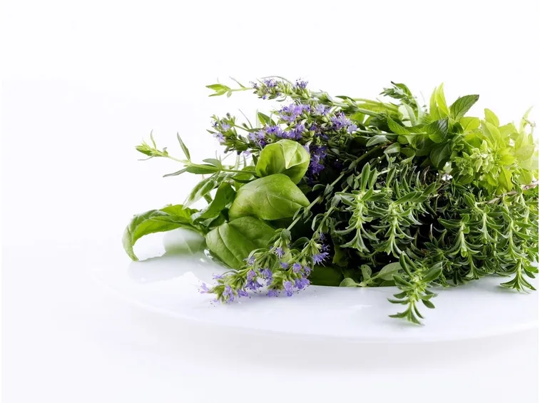 Composizione di erbe aromatiche.