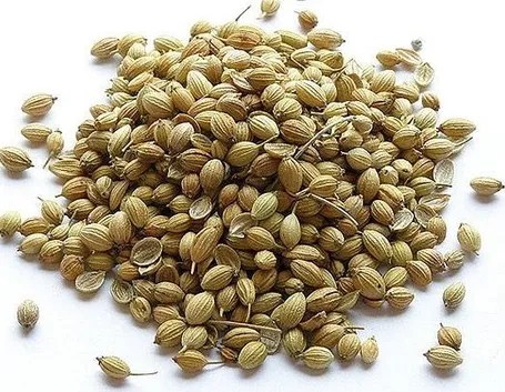 Semi di coriandolo