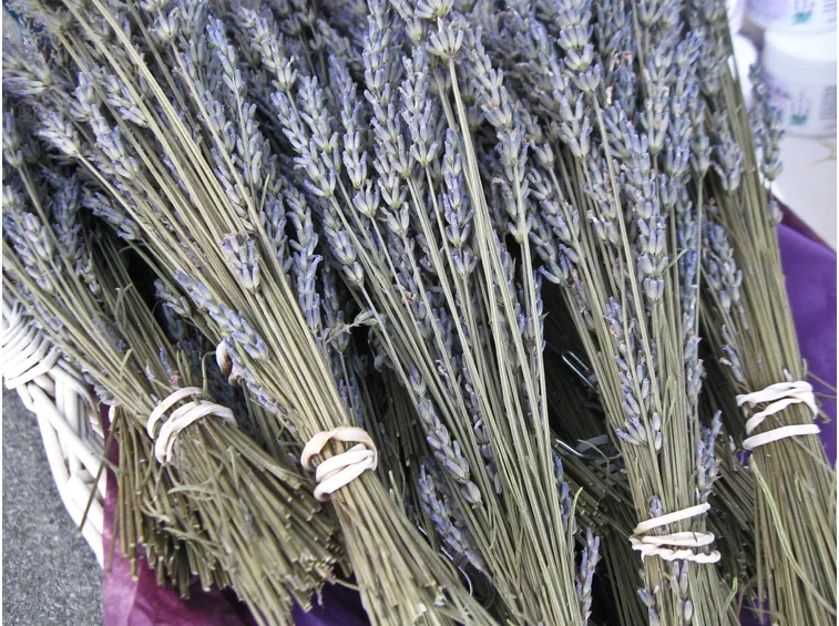Mazzetti di lavanda
