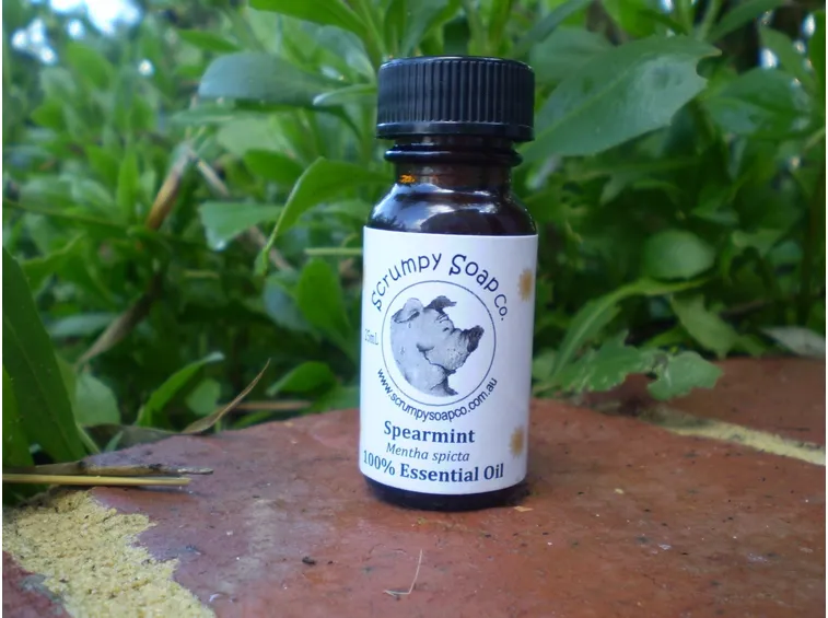 Olio essenziale di menta romana