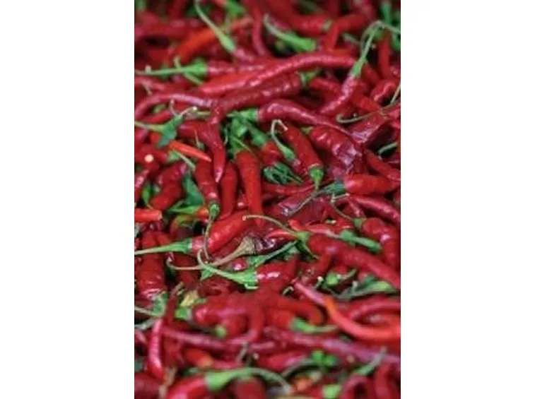 peperoncino piccante 2
