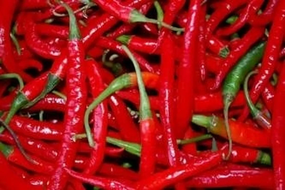peperoncino piccante 1