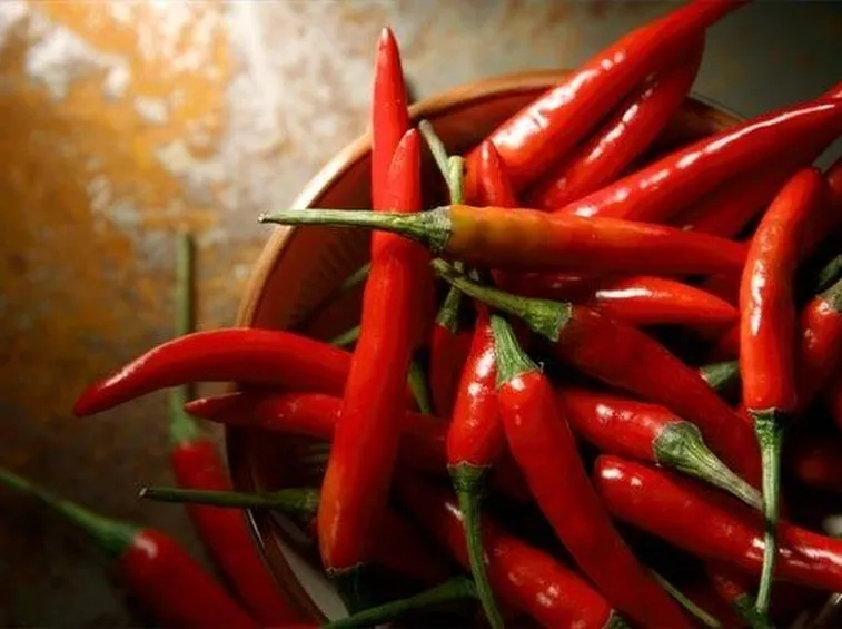 peperoncino1
