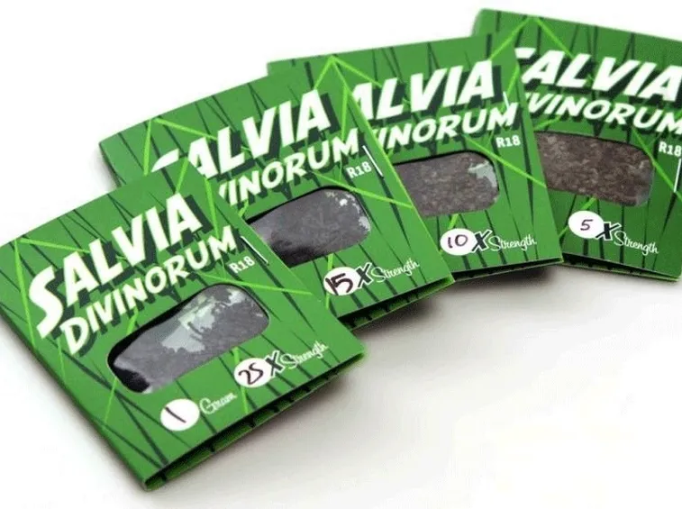 confezioni di estratto di salvia divinorum