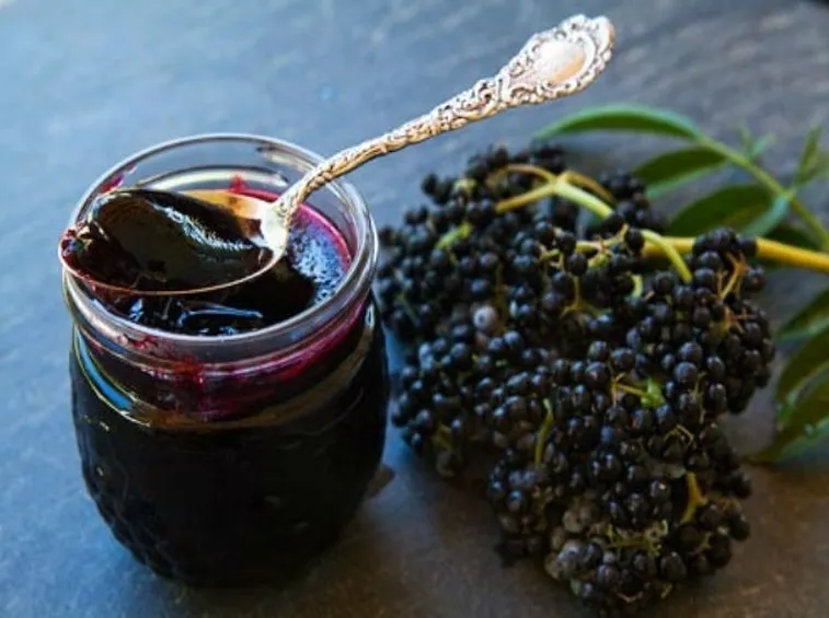 Marmellata di sambuco