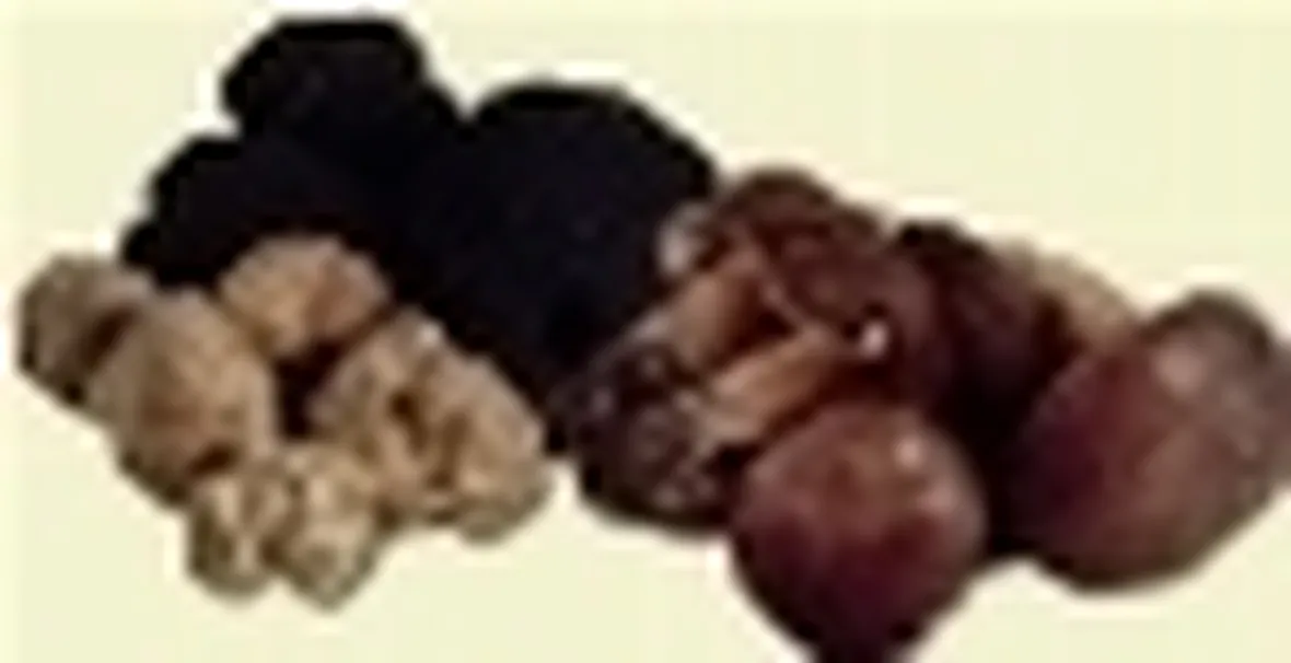 tartufi