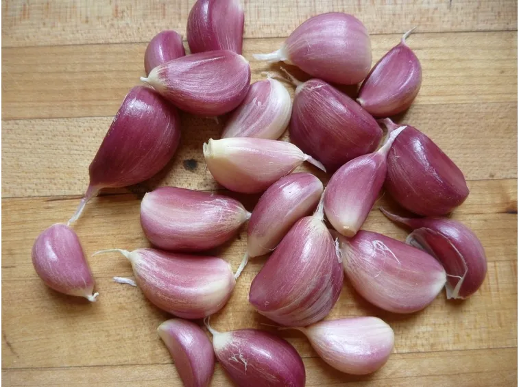 Aglio rosato