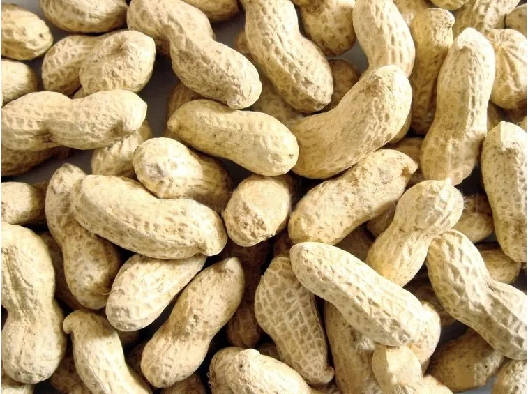 Arachidi pronte al consumo