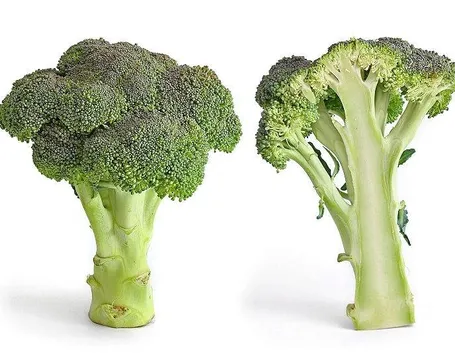 Broccolo e sua sezione