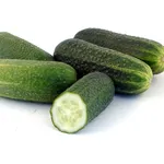Cetrioli freschi