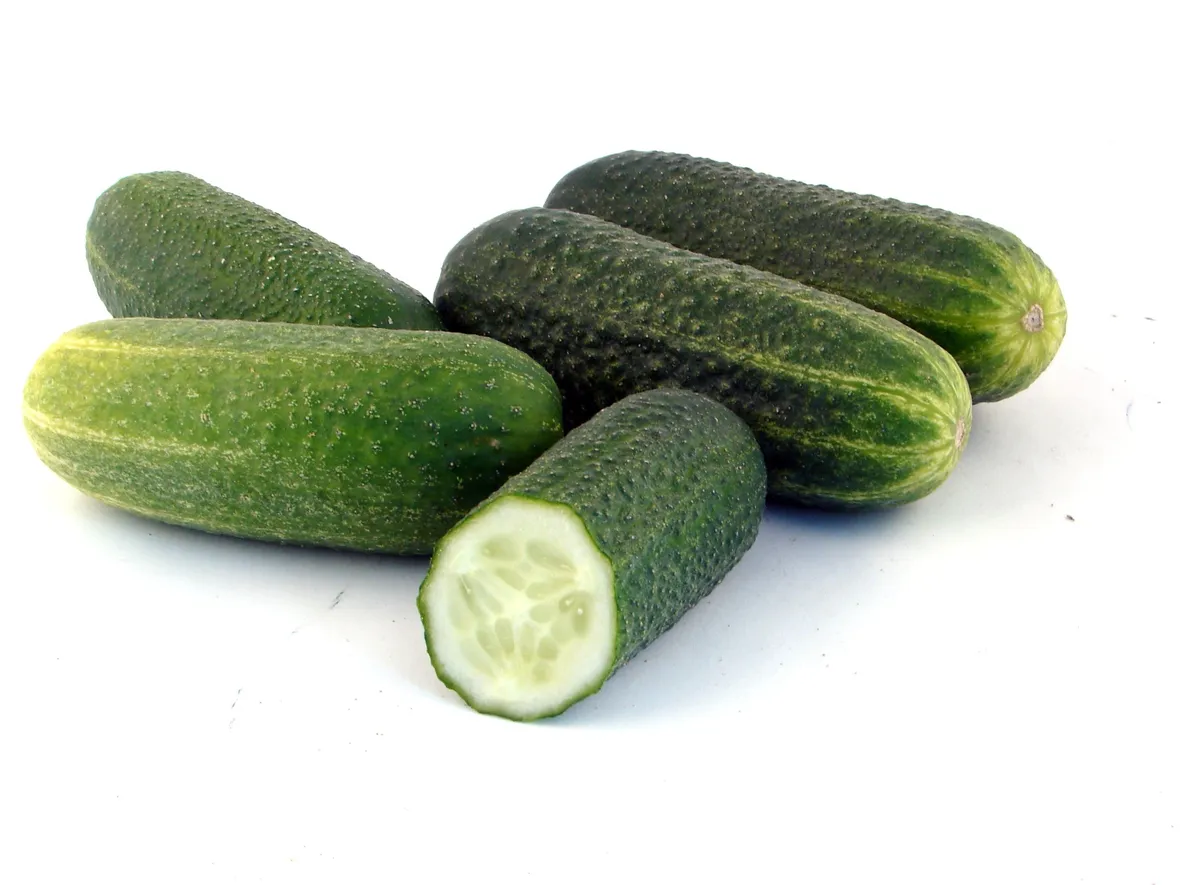 Cetrioli freschi