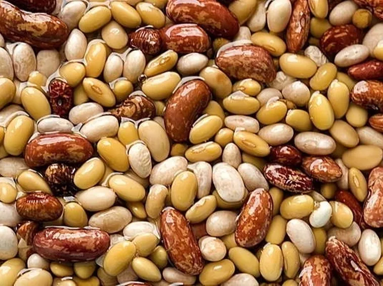 fagioli varietà