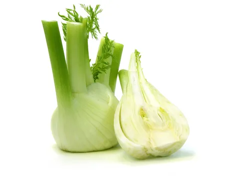 Grumolo di finocchio con sezione