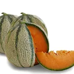 Coltivare meloni semina