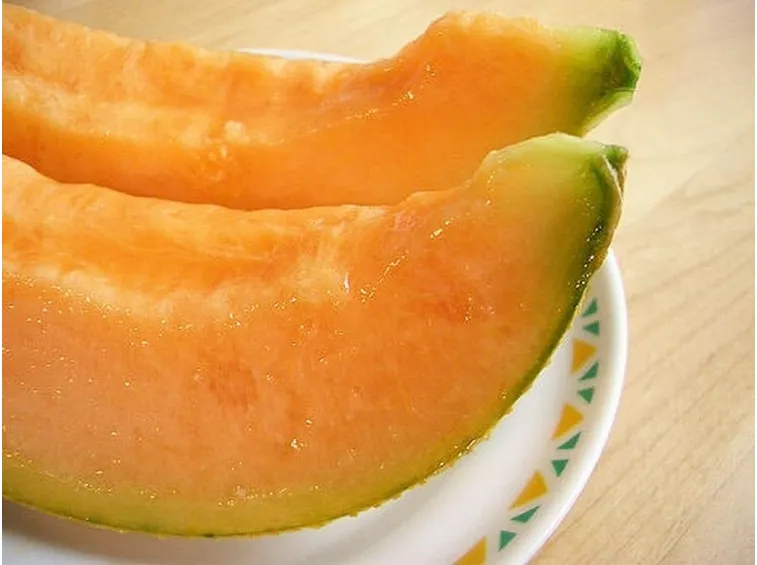 Coltivare meloni malattie