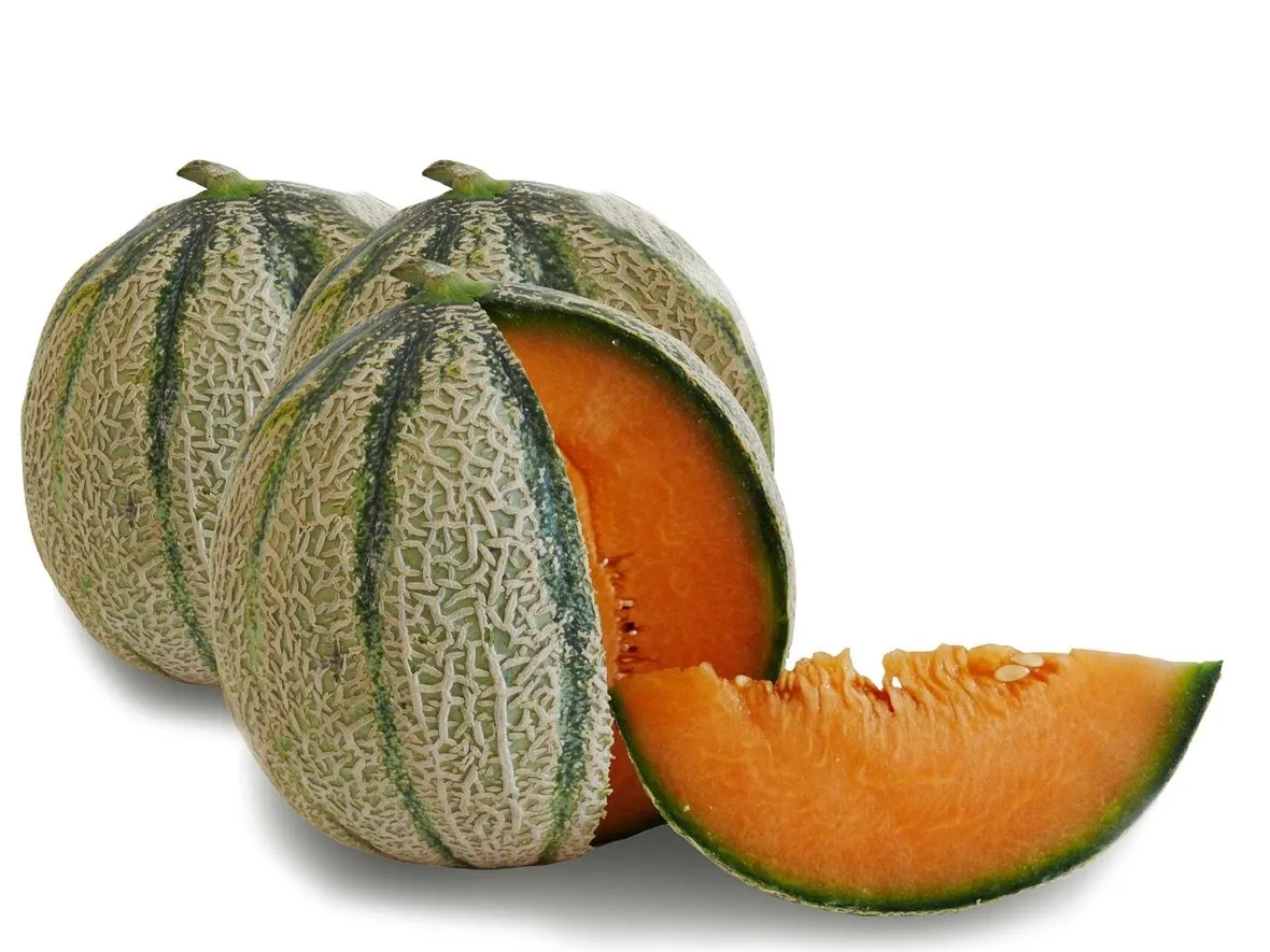 Coltivare meloni semina