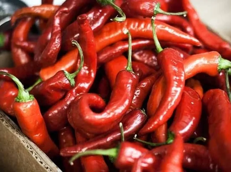 Peperoncini