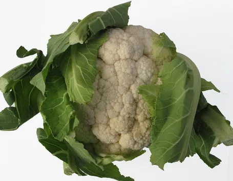 Un tipico cavolfiore bianco