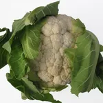 Un tipico cavolfiore bianco
