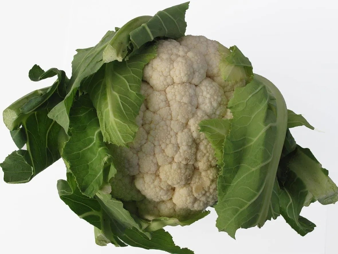 Un tipico cavolfiore bianco